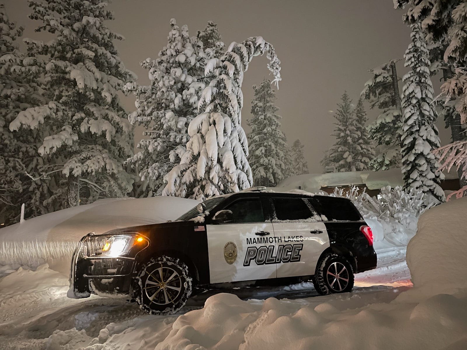 Winter Patrol.jpg
